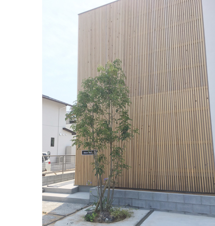 【都府楼の庭】OPEN HOUSE!!6/16(金)･ 6/17(土)・18(日)《予約制》