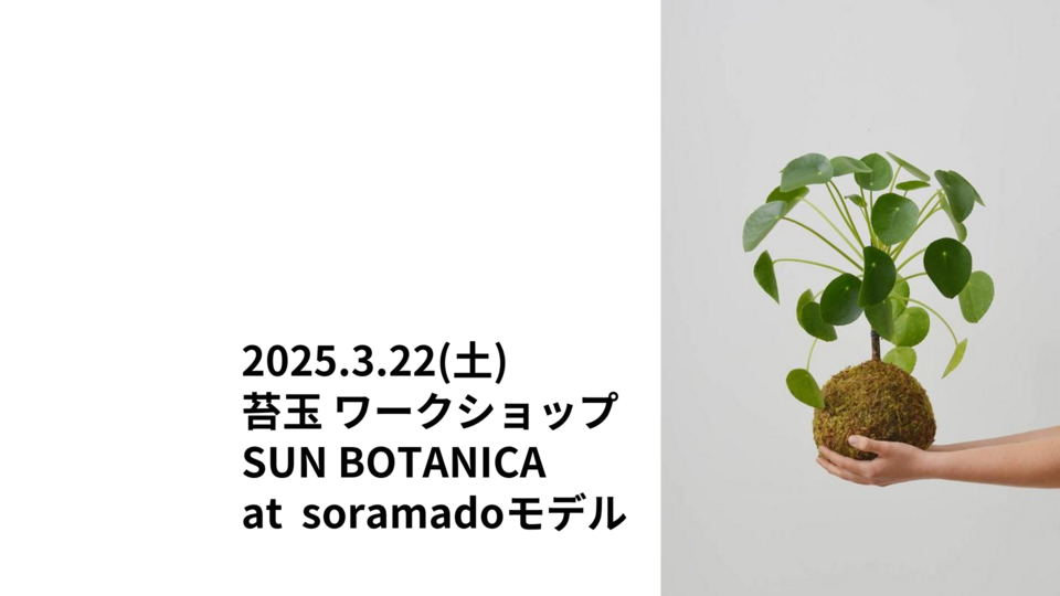 3月22日㈯魅惑の触感、苔玉づくり！