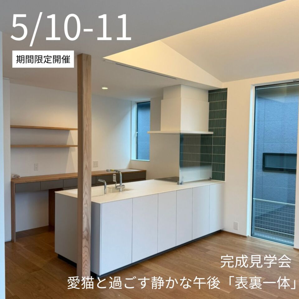 【完成見学会】しあわせは、愛猫と過ごす静かな午後にある。『表裏一体』